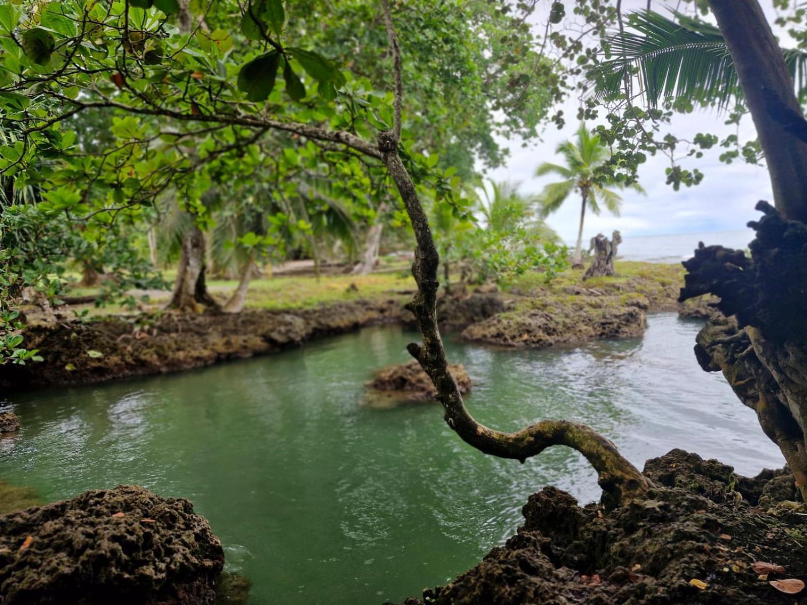 Serenity Houses Cahuita Eksteriør billede